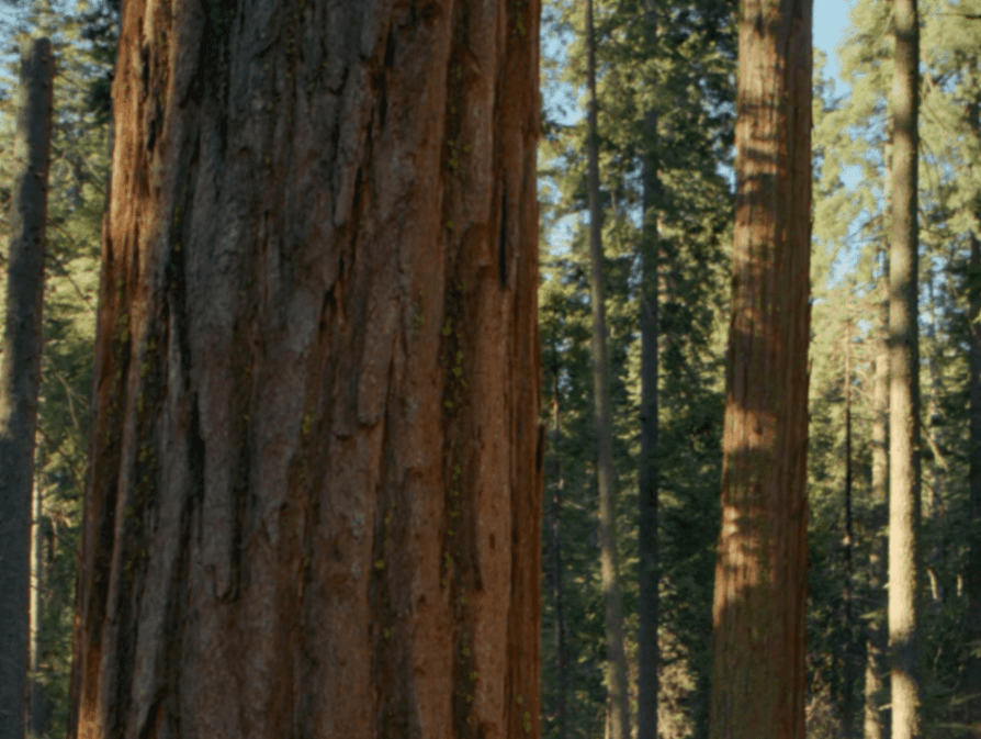 approuterテスト表示