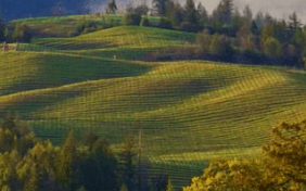 梅原テストスペース