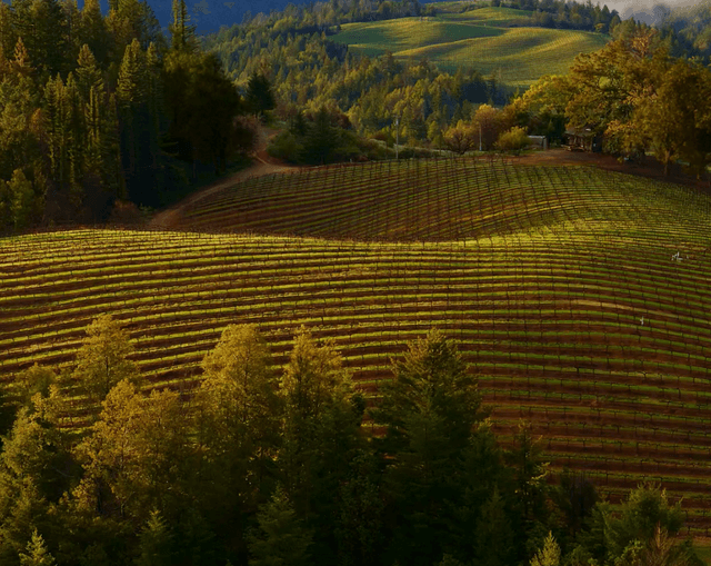 Screenshot 2024-10-12 at 0.01.50.png